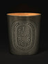 Feu De Bois (Wood Fire) Candle